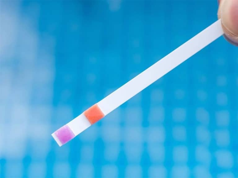 Top 15 Best Aquarium Test Kits & Strips in 2023