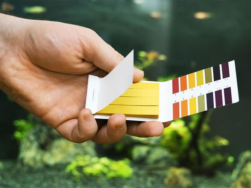 Top 15 Best Aquarium Test Kits & Strips in 2023