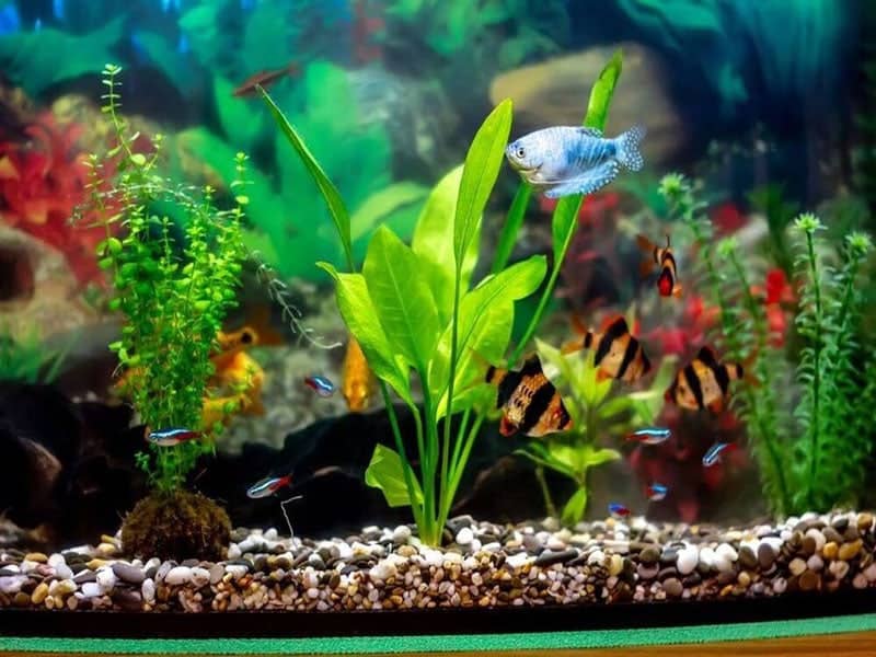 Top 15 Best Aquarium Water Conditioners in 2023