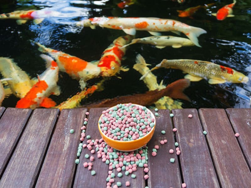 koi fish food        
        <figure class=