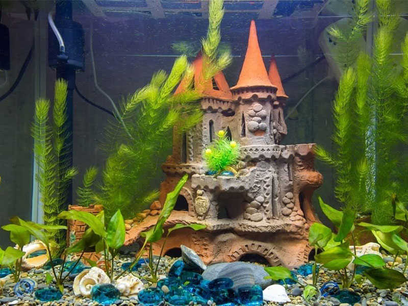 Top 15 Best Aquarium Air Pumps To Buy (2023 Reviews)